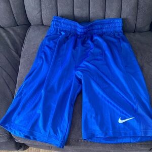 Nike Mens Royal Blue Sports Shorts Small
